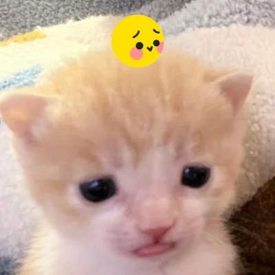 남비
